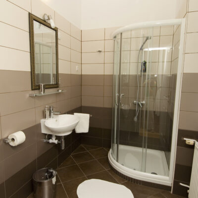 Double Room at Galeria Rooms - A modern shower with a transparent glass door, providing a sleek and elegant look to the bathroom.