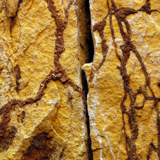 A close-up of a rock with brown and yellow paint, showcasing intricate textures and vibrant colors.